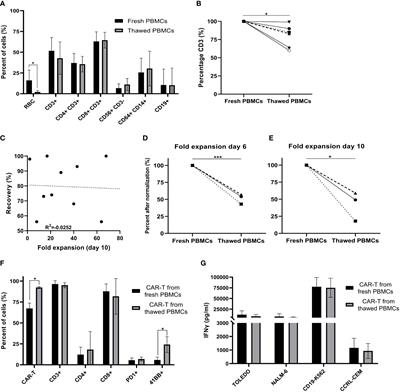 Impact of cryopreservation on CAR T production and clinical response